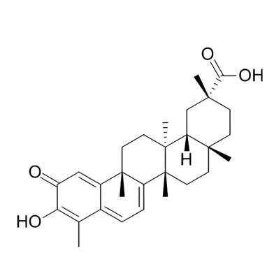 雷公藤红素的结构修饰与活性构效关系