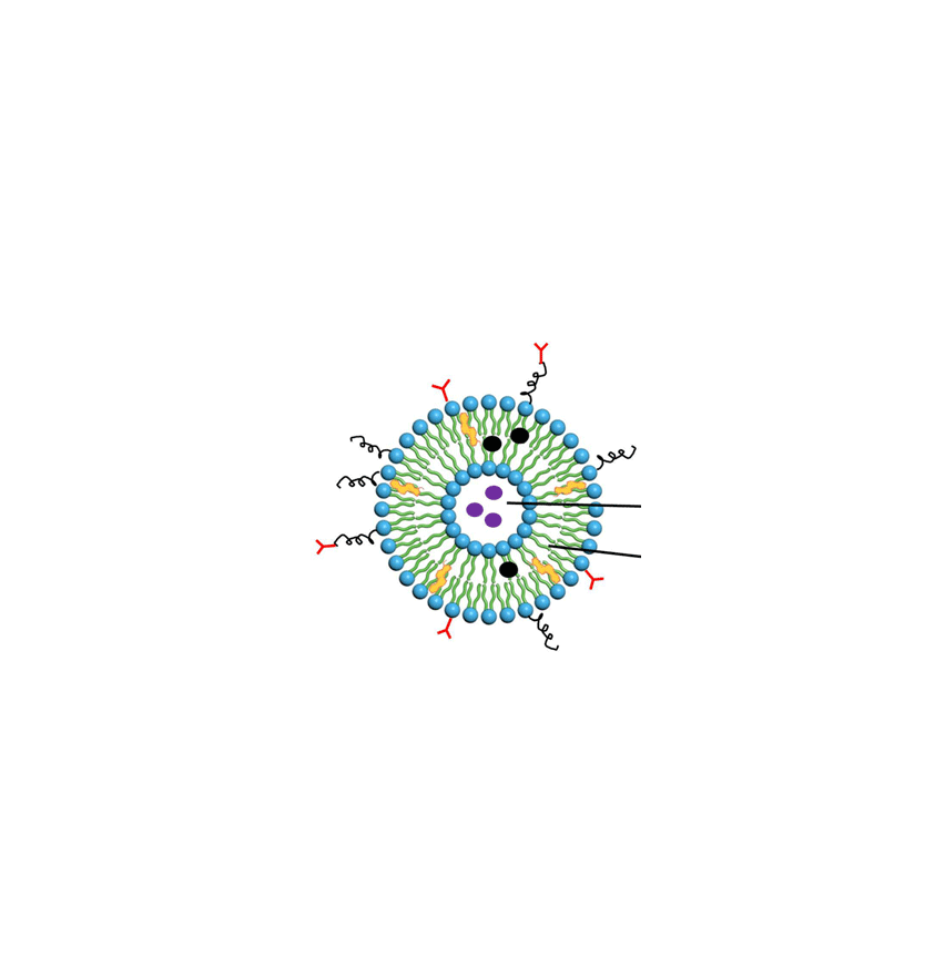 Liposome-encapsulated NS-siRNA 脂质体包裹NS-siRNA的制备方法