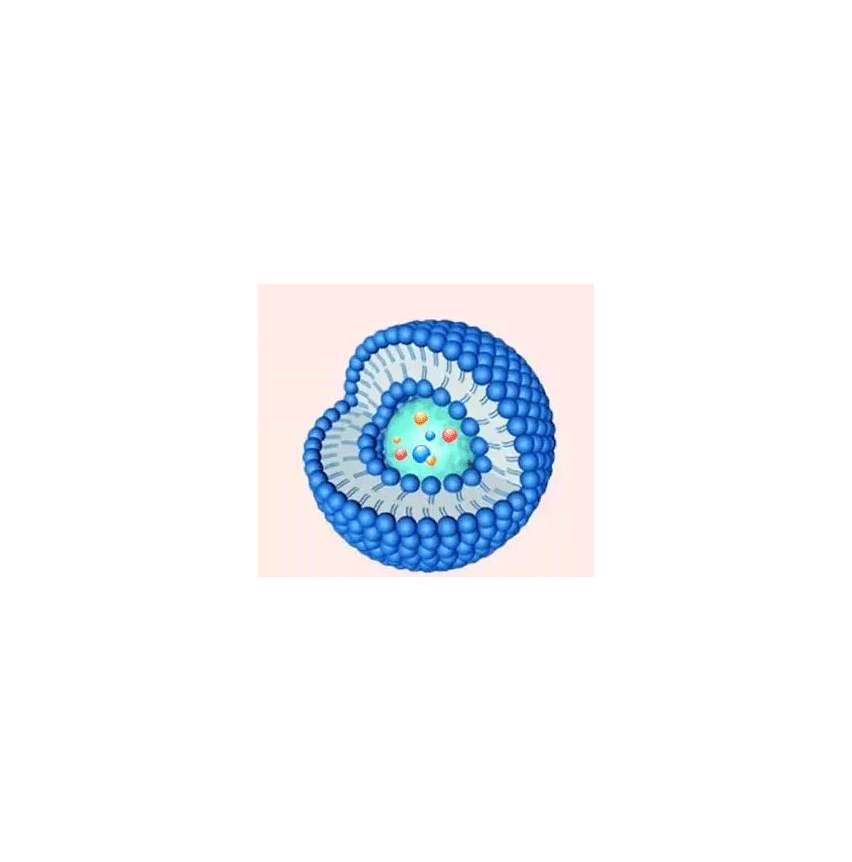脂质体包裹Target-siRNA的制备方法