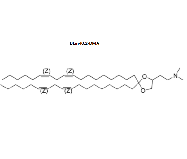可电离的阳离子脂质 DLin-KC2-DMA 和 D-Lin-MC3-DMA 在核酸化合物中的应用