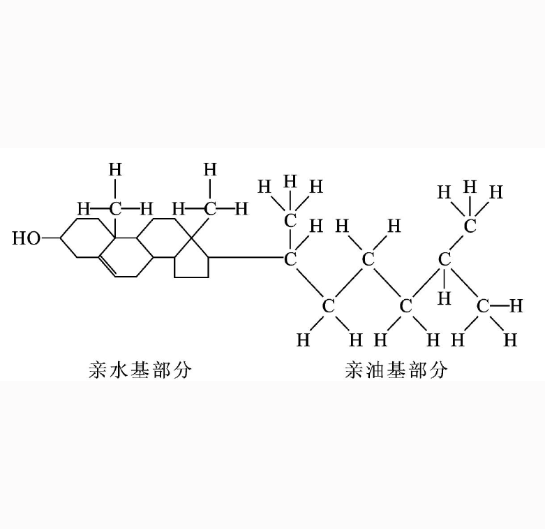 脂质体包裹IR783与DOX经TMTP1肽修饰的相关特性