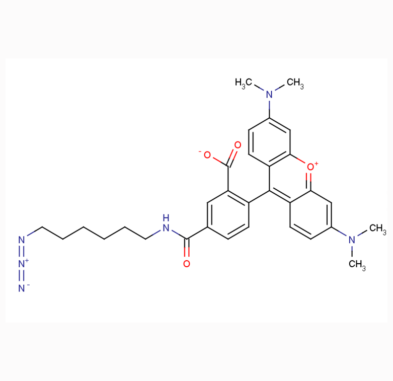 5-羧基四甲基罗丹明-叠氮  5-Carboxytetramethylrhodamine-azide的应用领域