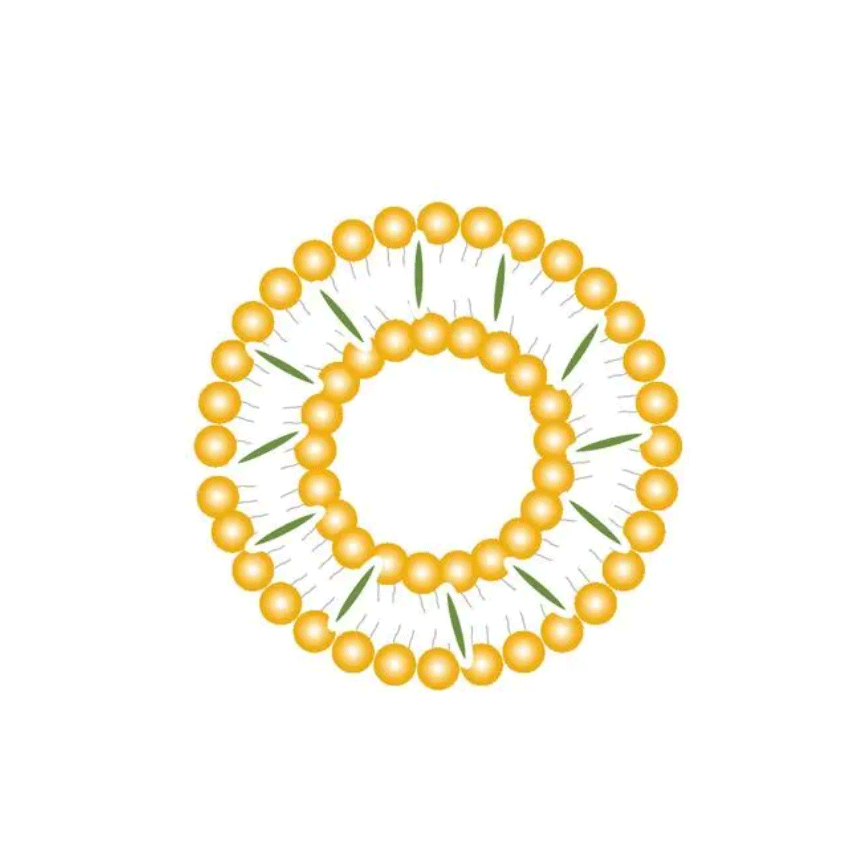 Cationic lipid-arginine阳离子脂质-精氨酸的优缺点
