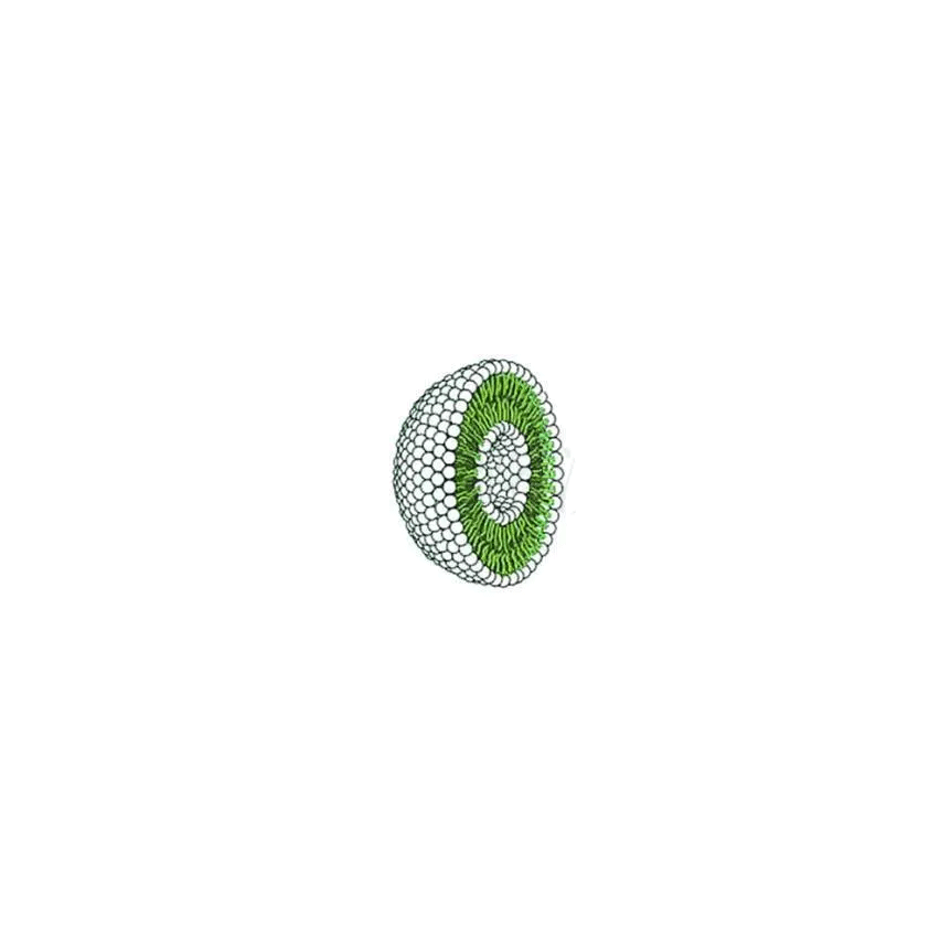 Empty carrier liposome 空载体脂质体实验中稳定影响因素