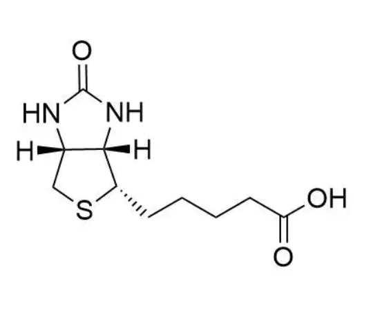 化合物生物素修饰定制服务