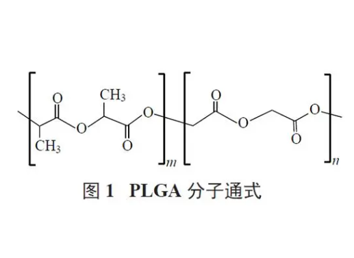 PEG修饰的PLGA纳米载体