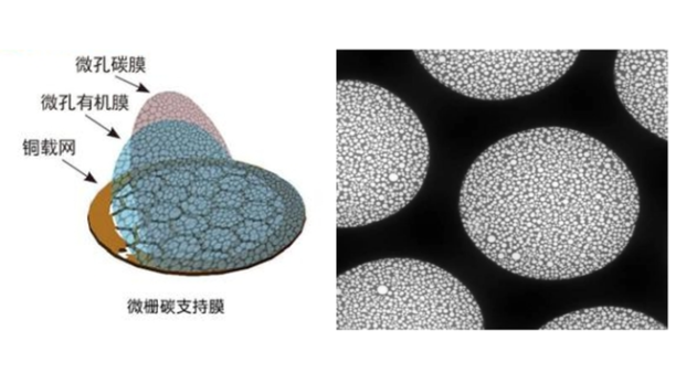 如何更好的进行电镜制样