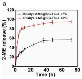 基于2-甲氧基雌二醇和吲哚青绿的双模成像引导应用纳米载体ScienceDirect