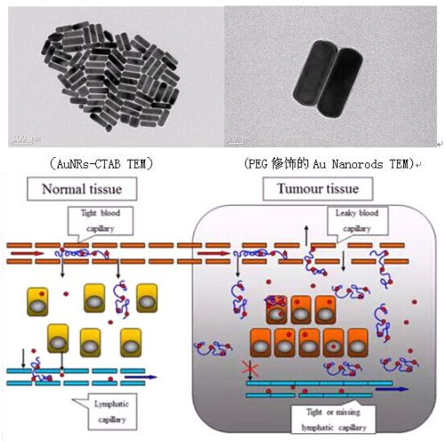 纳米金棒 Gold nanorods 