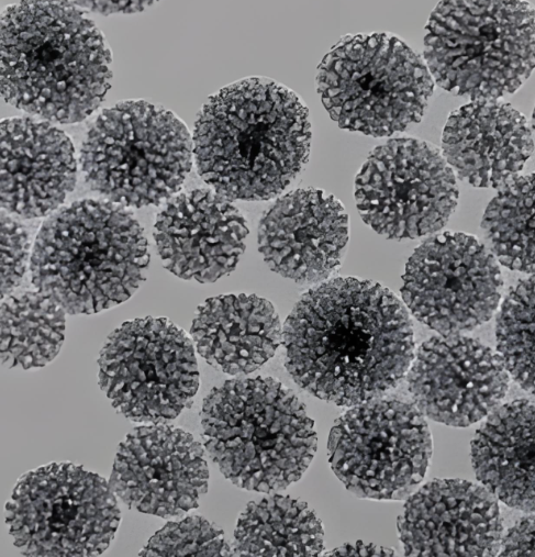 靶向分子修饰四氧化三铁纳米颗粒