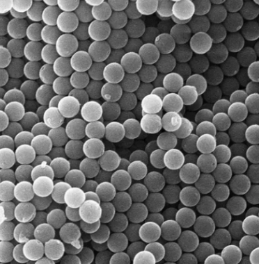 靶向分子修饰四氧化三铁纳米颗粒