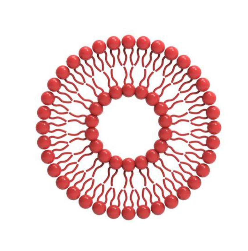  Glucose-modified liposome loaded with paclitaxel葡萄糖修饰脂质体负载紫杉醇的优缺点