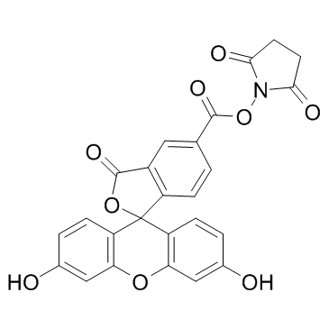 5-FAM-NHS,5-羧基荧光素琥珀酰亚胺酯
