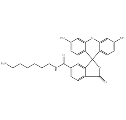 5-FAM-NH2,5-羧基荧光素-氨基