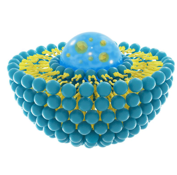 Aptamer-modified cationic liposome 适配体修饰阳离子脂质体的制备方法