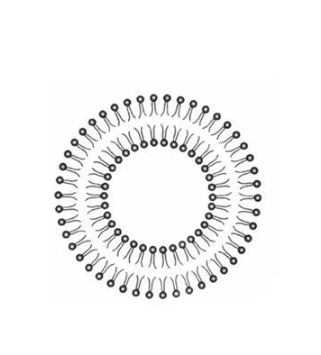 Fluorescent DID liposome encapsulated doxorubicin 荧光DID脂质体包载阿霉素的制备方法