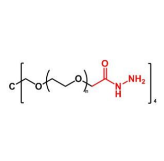 4arm-PEG-hydrazide,四臂-聚乙二醇-酰肼