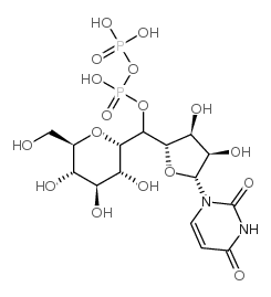 UDP-Glucose,尿苷二磷酸葡萄糖