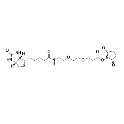 Biotin-PEG2-NHS,生物素-聚乙二醇2-N-羟基琥珀酰亚胺酯