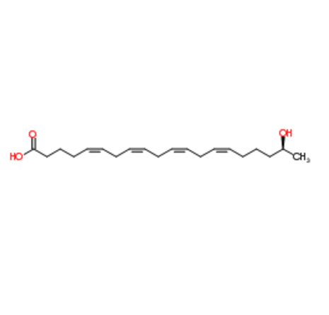19(S)-HETE,19 (S)- 羟基二十碳四烯酸