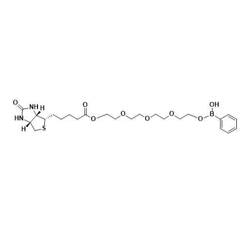 Biotin-PEG4-PBA,生物素-聚乙二醇4-苯硼酸