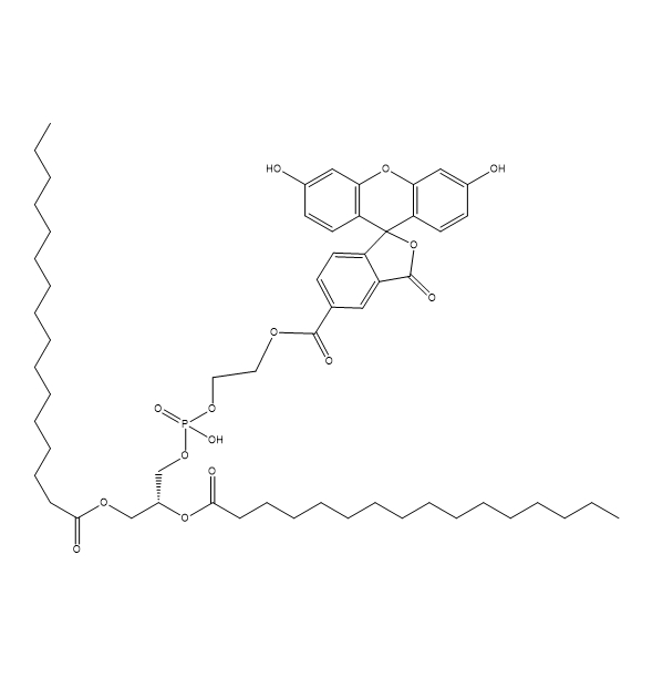 DPPE-5-FAM,二棕榈酰磷脂酰乙醇胺-5-羧基荧光素