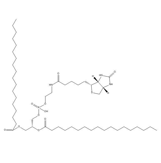 DSPE-Biotin,二硬脂酰基磷脂酰乙醇胺-生物素