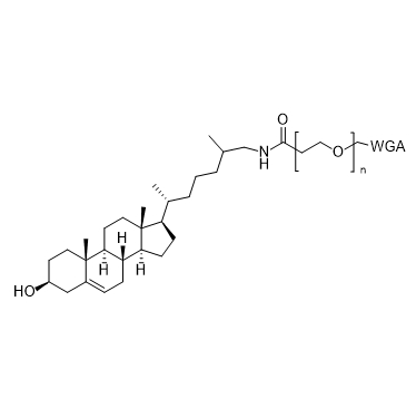 WGA-PEG-Cholesterol,麦胚凝集素-聚乙二醇-胆固醇