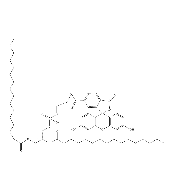 DPPE-6-FAM,二棕榈酰磷脂酰乙醇胺-6-羧基荧光素