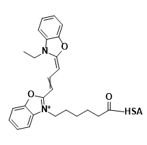 CY2-HSA,二甲川花菁染料-人血清白蛋白