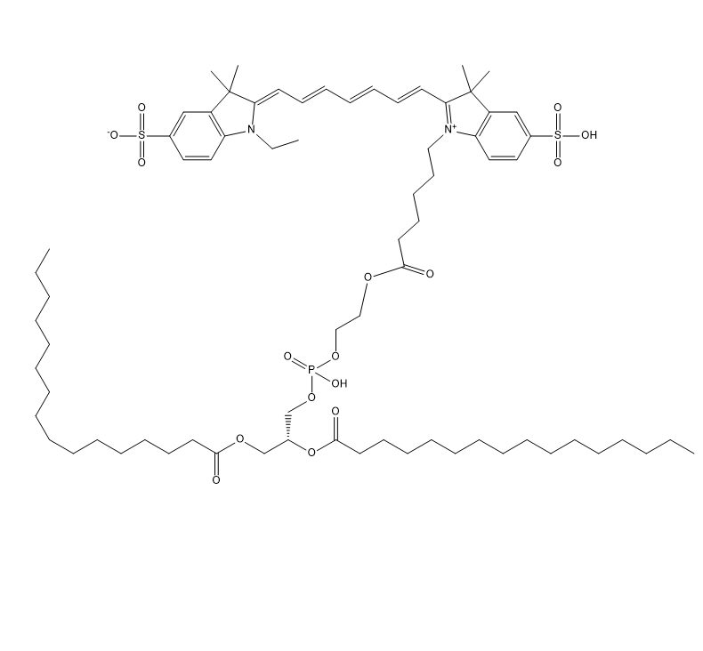 DPPE-CY7,二棕榈酰磷脂酰乙醇胺-七甲川花菁染料
