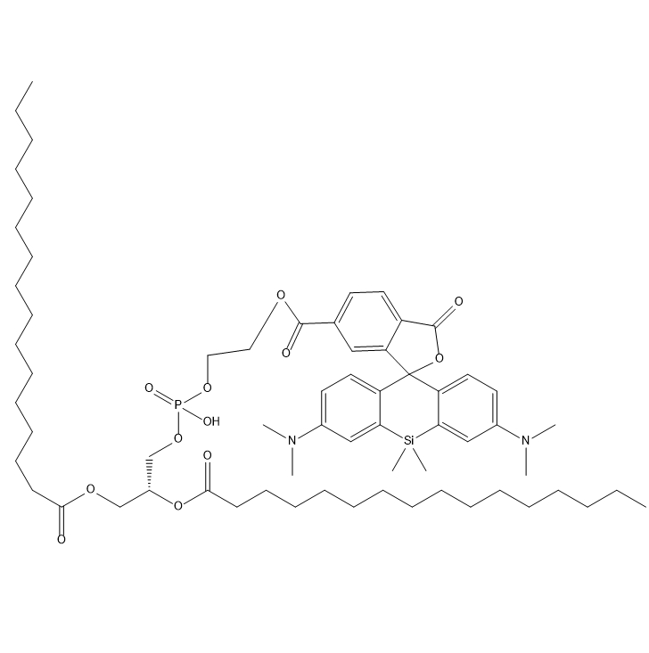 DPPE-SiR,二棕榈酰磷脂酰乙醇胺-硅基罗丹明
