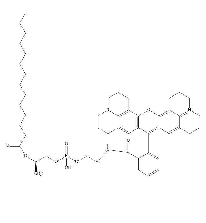 DMPE-ROX,二肉豆蔻酰磷脂酰乙醇胺-X-罗丹明
