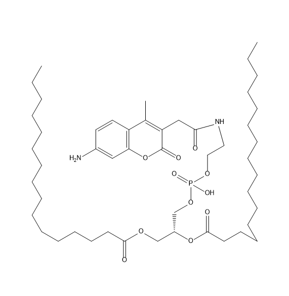 DPPE-AMCA,二棕榈酰磷脂酰乙醇胺-香豆素类染料