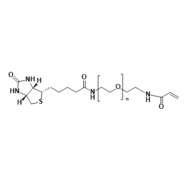 Biotin-PEG-Acrylamide,生物素-聚乙二醇-丙烯酰胺