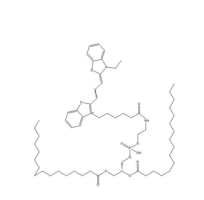 DPPE-CY2,二棕榈酰磷脂酰乙醇胺-二甲川花菁染料