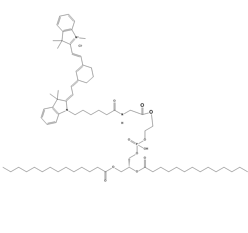 DMPE-CY7,二肉豆蔻酰磷脂酰乙醇胺-七甲川花菁染料