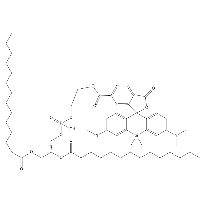 DMPE-SiR,二肉豆蔻酰基磷脂酰乙醇胺-硅基罗丹明