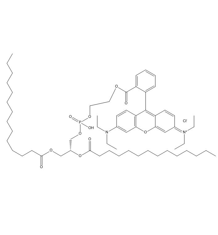 DMPE-RB,二肉豆蔻酰基磷脂酰乙醇胺-罗丹明B