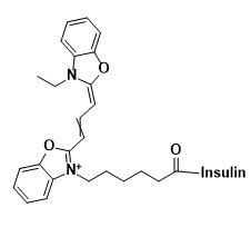 CY2-insulin,二甲川花菁染料-胰岛素