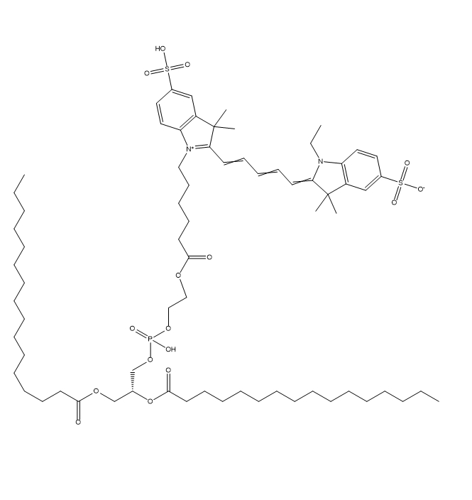 DPPE-CY5,二棕榈酰磷脂酰乙醇胺-五甲川花菁染料