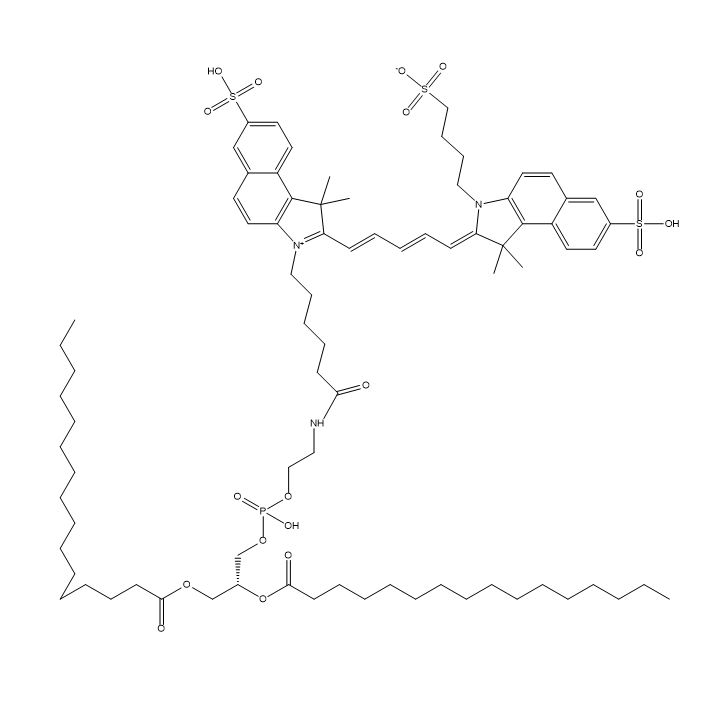 DPPE-CY5.5,二棕榈酰磷脂酰乙醇胺-菁染料CY5.5