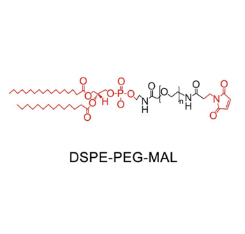 DSPE-PEG-Mal,二硬脂酰基磷脂酰乙醇胺-聚乙二醇-马来酰亚胺