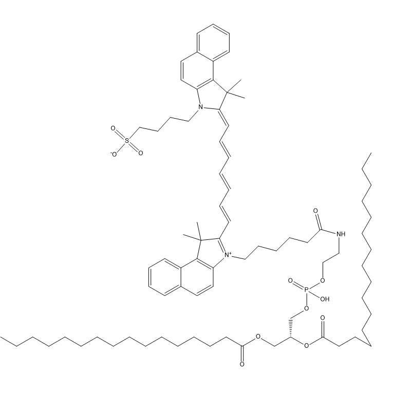 DPPE-ICG,二棕榈酰磷脂酰乙醇胺-吲哚菁绿