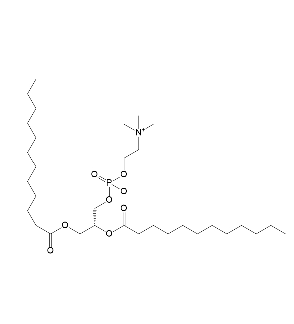 DLPC,1,2-二月桂酰-sn-甘油-3-磷酸胆碱