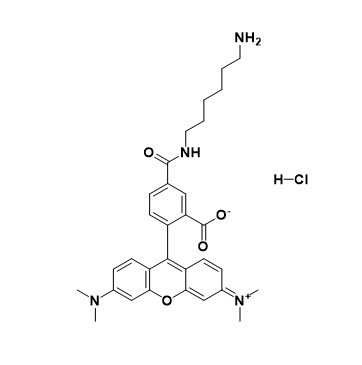 5-TAMRA-NH2,5-羧基四甲基罗丹明-氨基