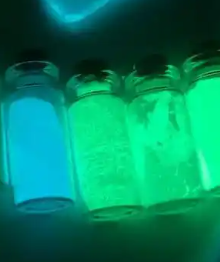 AF-ovalbumin conjugate,AF荧光素标记卵清蛋白