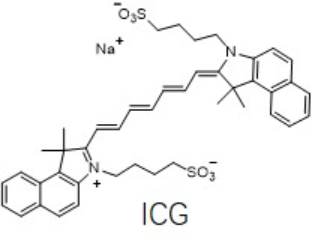 AuNPs-ICG-ANG,金纳米粒子-吲哚菁绿-ANG 肽