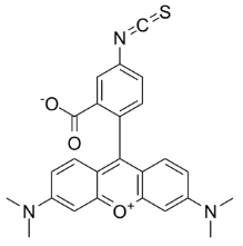 5-TRITC,四甲基罗丹明-5-异硫氰酸