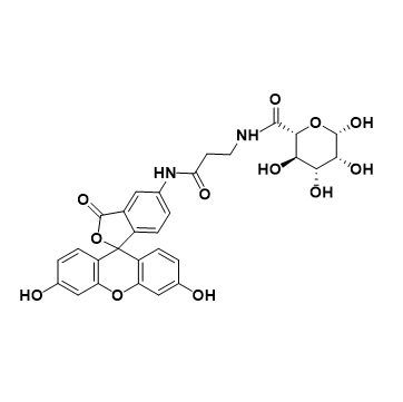 5(6)-Aminofluorescein-sodium alginate,5(6)氨基荧光素标记海藻酸钠